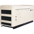 Cummins Commercial Standby Generator — 30 kW, LP/NG, 120/240 Volts, Single-Phase, Model# RS30