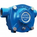Delavan Cast Iron 6-Roller Pump — 20 GPM, 300 PSI, 1,200 RPM Model# 6900C
